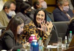 Foto de la galería: Legislatura en sesión: Diputados declararon Monumento Natural Provincial al Vencejo de Cascada