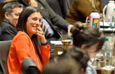 Foto de la galería: Legislatura en sesión: Diputados declararon Monumento Natural Provincial al Vencejo de Cascada