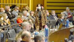 Foto de la galería: Legislatura en sesión: Diputados declararon Monumento Natural Provincial al Vencejo de Cascada