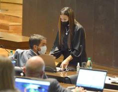 Foto de la galería: Legislatura en sesión: Diputados declararon Monumento Natural Provincial al Vencejo de Cascada