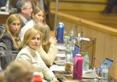 Foto de la galería: Legislatura en sesión: Diputados declararon Monumento Natural Provincial al Vencejo de Cascada