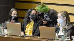 Foto de la galería: Legislatura en sesión: Diputados declararon Monumento Natural Provincial al Vencejo de Cascada