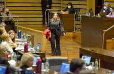 Foto de la galería: Legislatura en sesión: Diputados declararon Monumento Natural Provincial al Vencejo de Cascada