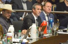 Foto de la galería: Legislatura en sesión: Diputados declararon Monumento Natural Provincial al Vencejo de Cascada