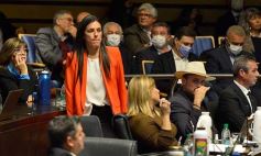 Foto de la galería: Legislatura en sesión: Diputados declararon Monumento Natural Provincial al Vencejo de Cascada