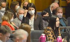 Foto de la galería: Legislatura en sesión: Diputados declararon Monumento Natural Provincial al Vencejo de Cascada