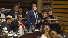 Foto de la galería: Legislatura en sesión: Diputados declararon Monumento Natural Provincial al Vencejo de Cascada