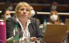 Foto de la galería: Legislatura en sesión: Diputados declararon Monumento Natural Provincial al Vencejo de Cascada