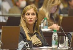 Foto de la galería: Legislatura en sesión: Diputados declararon Monumento Natural Provincial al Vencejo de Cascada