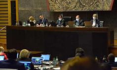 Foto de la galería: Legislatura en sesión: Diputados declararon Monumento Natural Provincial al Vencejo de Cascada