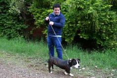 Foto de la galería: Posadas en postales: un varieté de recorridas y encuentros compartidos en la ciudad capital