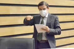 Foto de la galería: Por ley impulsarán la protección y multiplicación de la población de abejas en la tierra colorada