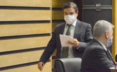 Foto de la galería: Por ley impulsarán la protección y multiplicación de la población de abejas en la tierra colorada