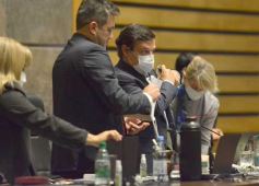 Foto de la galería: Por ley impulsarán la protección y multiplicación de la población de abejas en la tierra colorada