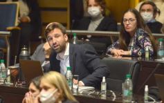 Foto de la galería: Por ley impulsarán la protección y multiplicación de la población de abejas en la tierra colorada