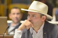 Foto de la galería: Por ley impulsarán la protección y multiplicación de la población de abejas en la tierra colorada