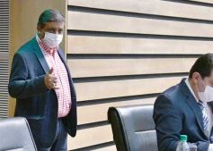 Foto de la galería: Por ley impulsarán la protección y multiplicación de la población de abejas en la tierra colorada