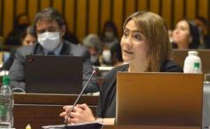 Foto de la galería: Por ley impulsarán la protección y multiplicación de la población de abejas en la tierra colorada