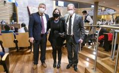 Foto de la galería: Por ley impulsarán la protección y multiplicación de la población de abejas en la tierra colorada