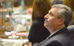 Foto de la galería: Por ley impulsarán la protección y multiplicación de la población de abejas en la tierra colorada