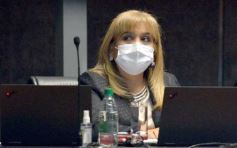 Foto de la galería: Por ley impulsarán la protección y multiplicación de la población de abejas en la tierra colorada