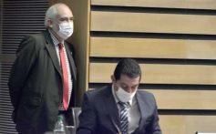 Foto de la galería: Por ley impulsarán la protección y multiplicación de la población de abejas en la tierra colorada