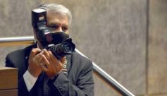 Foto de la galería: Por ley impulsarán la protección y multiplicación de la población de abejas en la tierra colorada