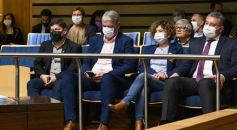 Foto de la galería: Por ley impulsarán la protección y multiplicación de la población de abejas en la tierra colorada