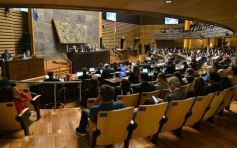 Foto de la galería: Por ley impulsarán la protección y multiplicación de la población de abejas en la tierra colorada