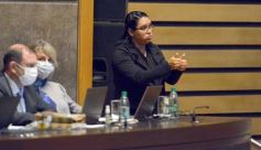 Foto de la galería: Por ley impulsarán la protección y multiplicación de la población de abejas en la tierra colorada