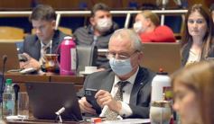 Foto de la galería: Por ley impulsarán la protección y multiplicación de la población de abejas en la tierra colorada