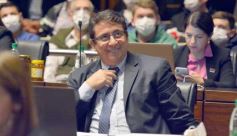 Foto de la galería: Por ley impulsarán la protección y multiplicación de la población de abejas en la tierra colorada