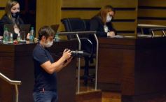 Foto de la galería: Por ley impulsarán la protección y multiplicación de la población de abejas en la tierra colorada