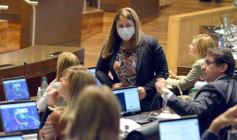 Foto de la galería: Por ley impulsarán la protección y multiplicación de la población de abejas en la tierra colorada