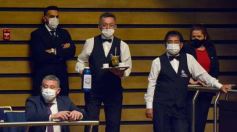 Foto de la galería: Por ley impulsarán la protección y multiplicación de la población de abejas en la tierra colorada