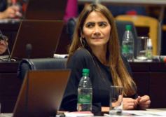 Foto de la galería: Por ley impulsarán la protección y multiplicación de la población de abejas en la tierra colorada