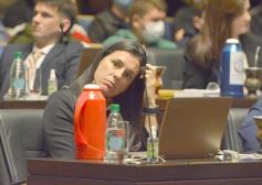 Foto de la galería: Por ley impulsarán la protección y multiplicación de la población de abejas en la tierra colorada