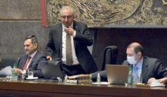 Foto de la galería: Por ley impulsarán la protección y multiplicación de la población de abejas en la tierra colorada