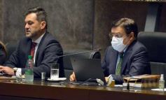 Foto de la galería: Por ley impulsarán la protección y multiplicación de la población de abejas en la tierra colorada