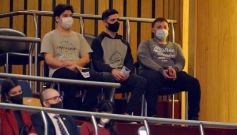 Foto de la galería: Por ley impulsarán la protección y multiplicación de la población de abejas en la tierra colorada