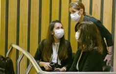 Foto de la galería: Por ley impulsarán la protección y multiplicación de la población de abejas en la tierra colorada