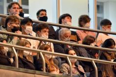 Foto de la galería: Por ley impulsarán la protección y multiplicación de la población de abejas en la tierra colorada