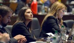 Foto de la galería: Por ley impulsarán la protección y multiplicación de la población de abejas en la tierra colorada