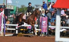 Foto de la galería: A orillas del Paraná: la equitación nacional deslumbró en el Balneario Costa Sur de Posadas