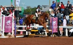 Foto de la galería: A orillas del Paraná: la equitación nacional deslumbró en el Balneario Costa Sur de Posadas
