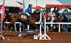 Foto de la galería: A orillas del Paraná: la equitación nacional deslumbró en el Balneario Costa Sur de Posadas