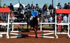 Foto de la galería: A orillas del Paraná: la equitación nacional deslumbró en el Balneario Costa Sur de Posadas
