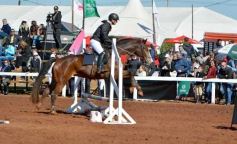 Foto de la galería: A orillas del Paraná: la equitación nacional deslumbró en el Balneario Costa Sur de Posadas
