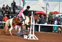 Foto de la galería: A orillas del Paraná: la equitación nacional deslumbró en el Balneario Costa Sur de Posadas