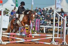 Foto de la galería: A orillas del Paraná: la equitación nacional deslumbró en el Balneario Costa Sur de Posadas